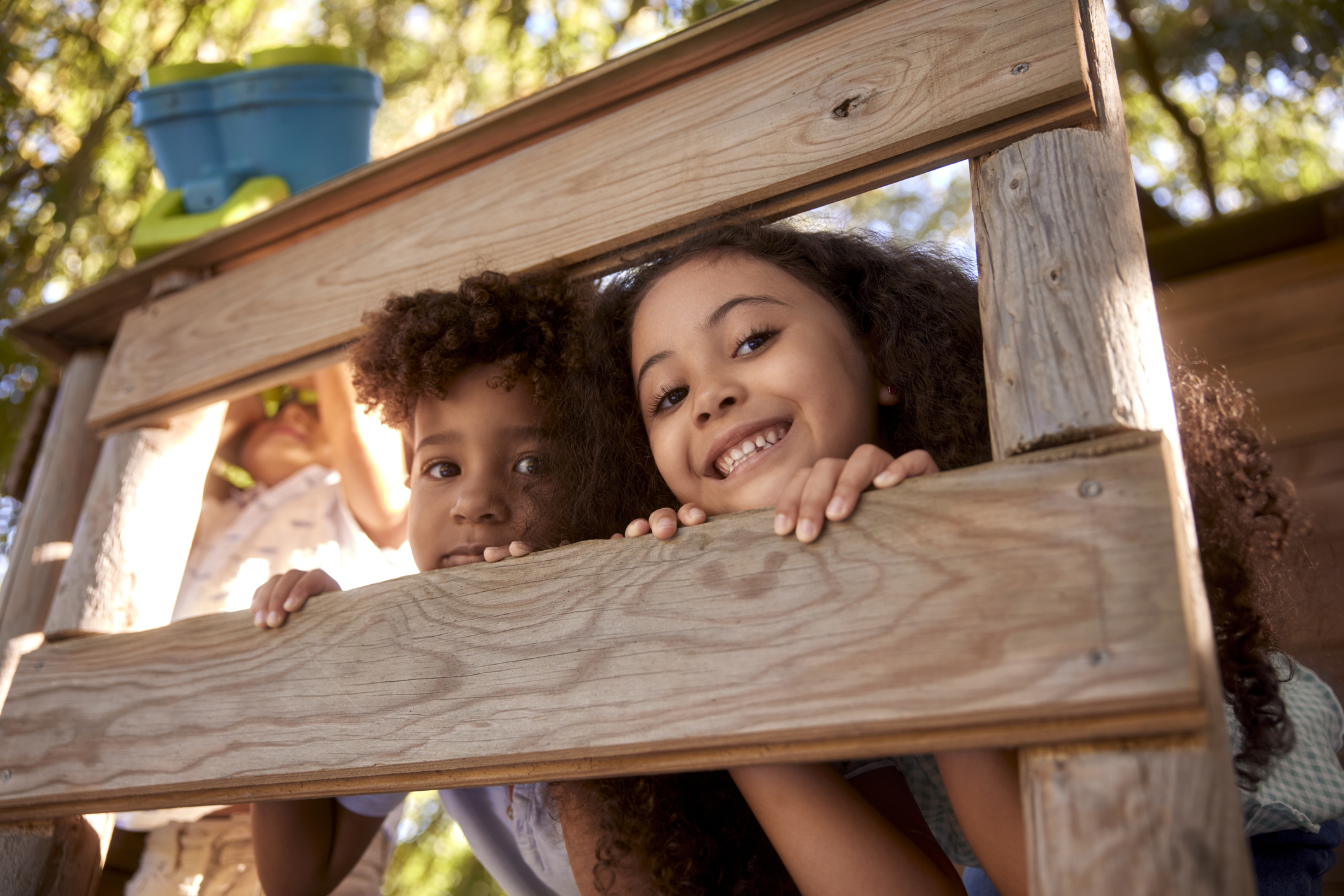 Close-up of two little young african-american kids smiling at the camera on top of tree house having fun during summer